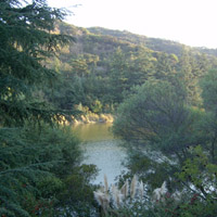 Nearby Lake